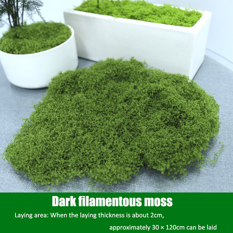 Artificial simulation of moss  – Terrarium Moss Art Bewertung und Preis