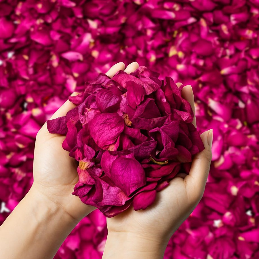 Dried Rose Petals Bulk 5oz Nat – Dried Flower Bulk Bewertung und Preis