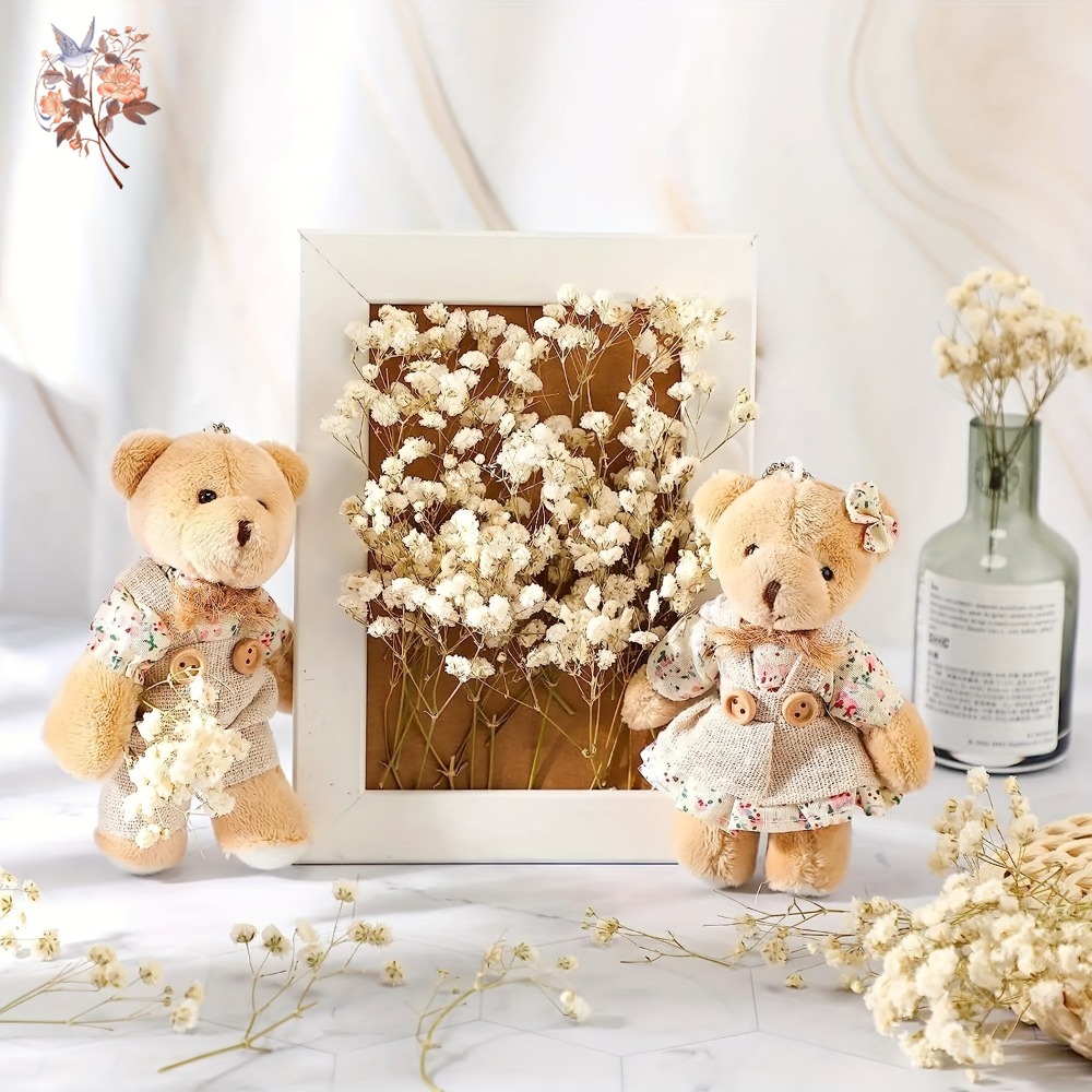 100pcs Mini Dried Baby's Breat – Dried Flower Bulk Bewertung und Preis